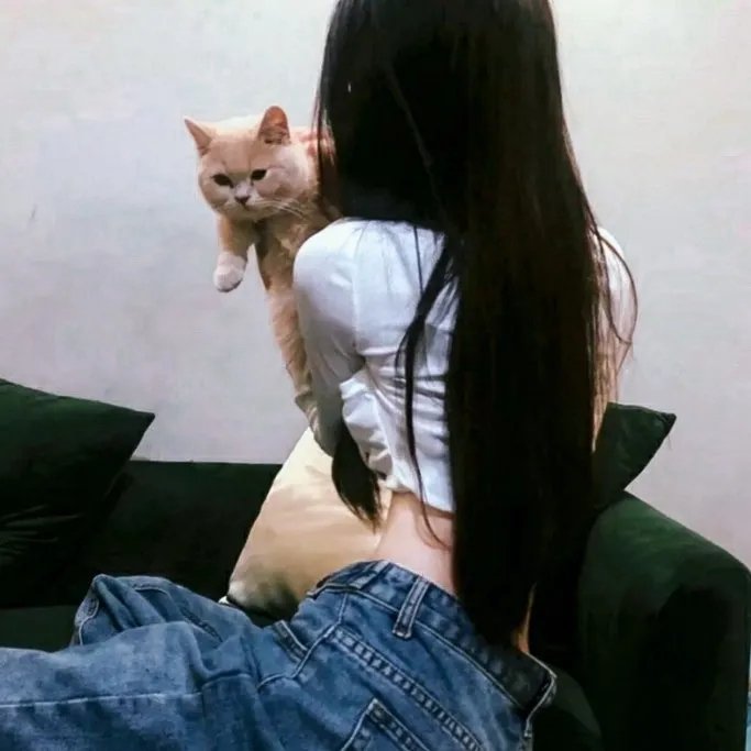 失踪的邦妮